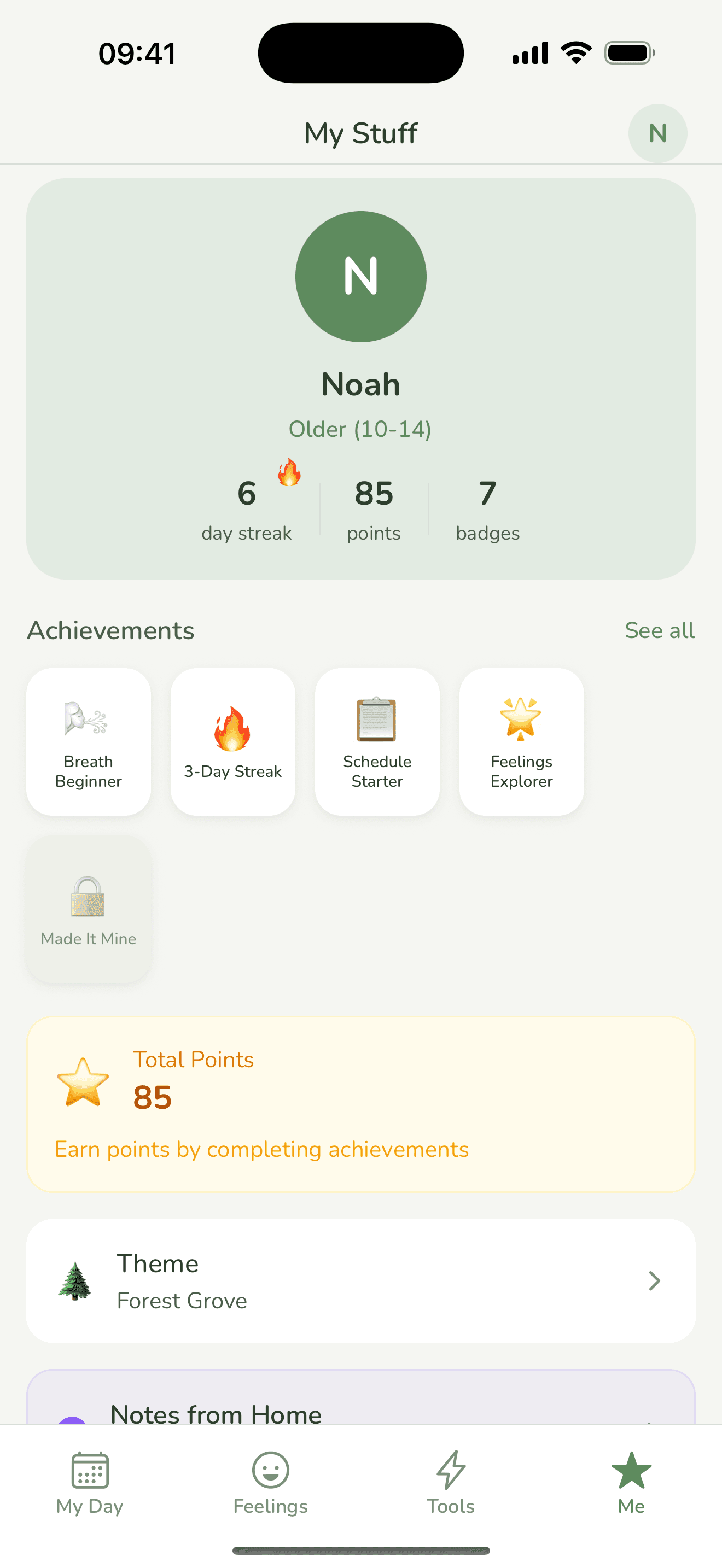 Young person's achievements and badges